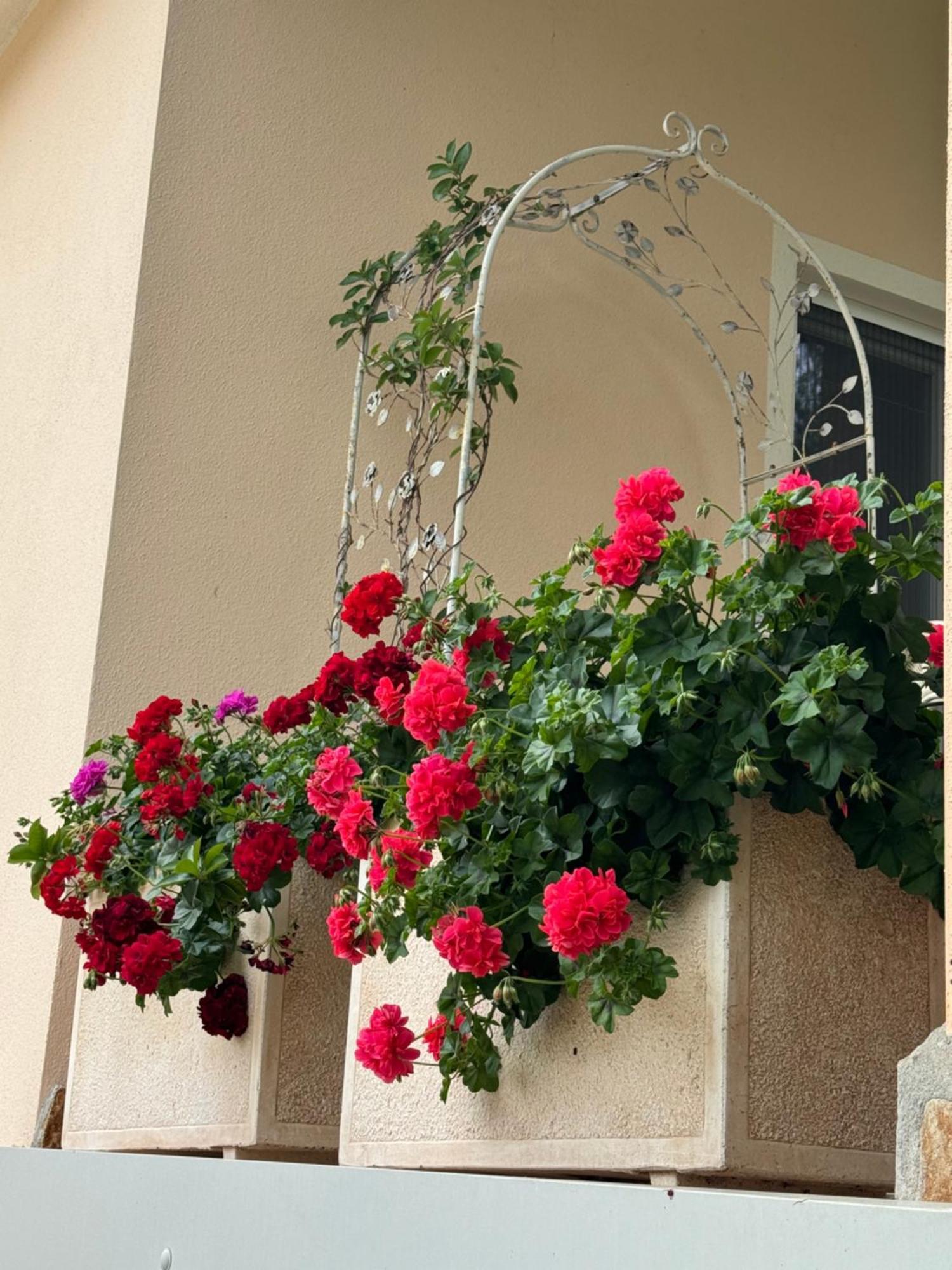 Villa Dei Fiori - Casa Vacanza Capoterra Buitenkant foto