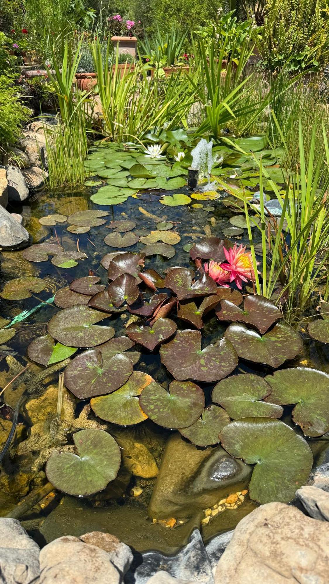 Villa Dei Fiori - Casa Vacanza Capoterra Buitenkant foto