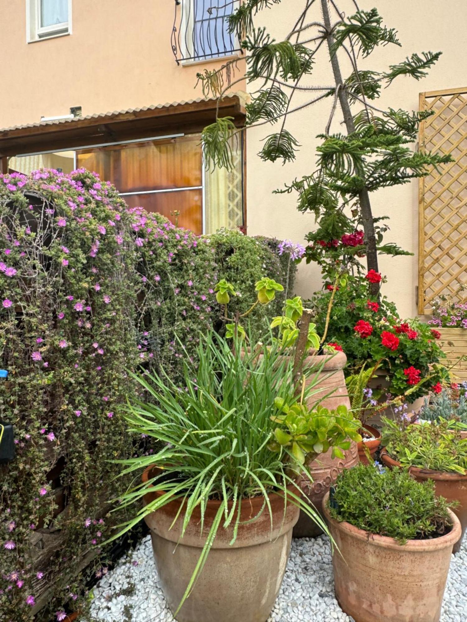Villa Dei Fiori - Casa Vacanza Capoterra Buitenkant foto