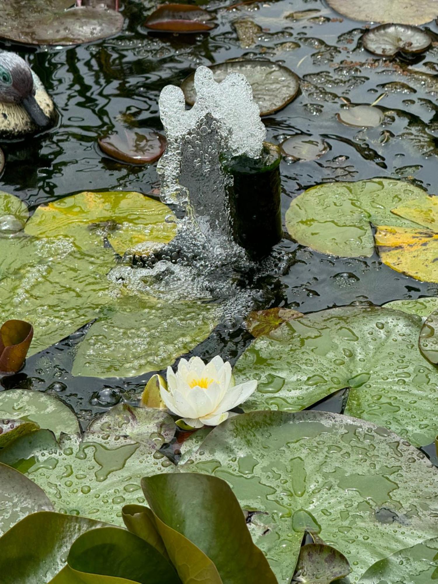 Villa Dei Fiori - Casa Vacanza Capoterra Buitenkant foto